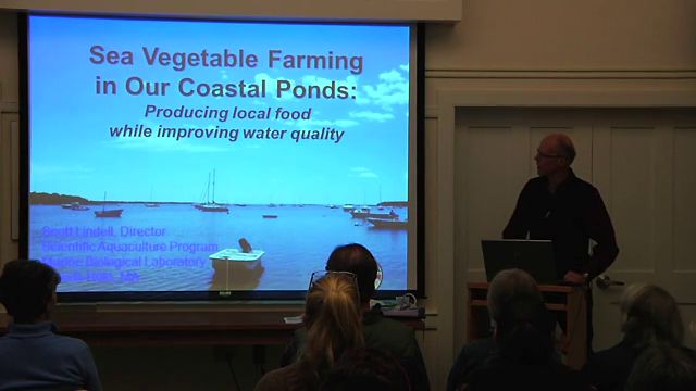 sea vegtable farming